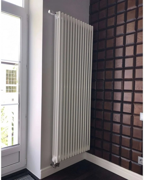 ������������ �������� Arbonia 3180/12 N69 ���  � ������ ���������